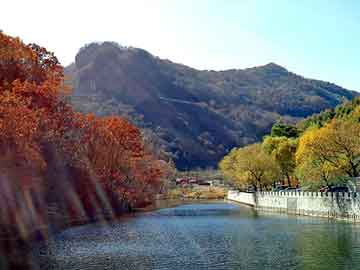 正版澳门天天开彩大全，橡胶地垫厂